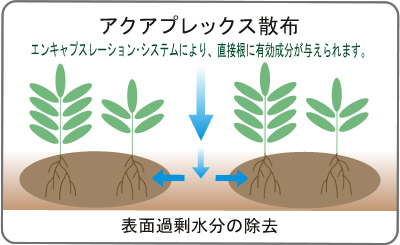 アクアプレックスの散布