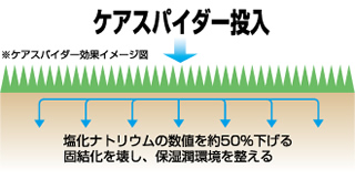 ※ケアスパイダー効果イメージ図