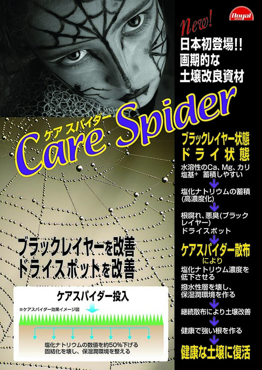 carespider-f.jpg