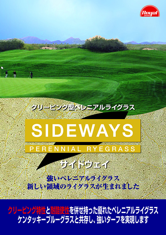 sideway-f.jpg