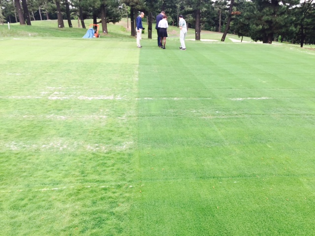 http://www.royalturf.co.jp/topics/777-1.jpg