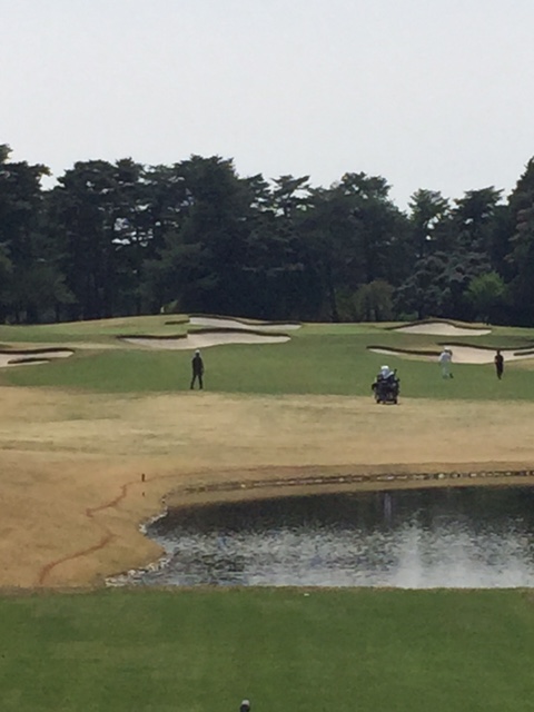 http://www.royalturf.co.jp/topics/IMG_6130.JPG