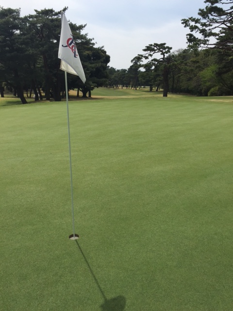 http://www.royalturf.co.jp/topics/IMG_6136.JPG