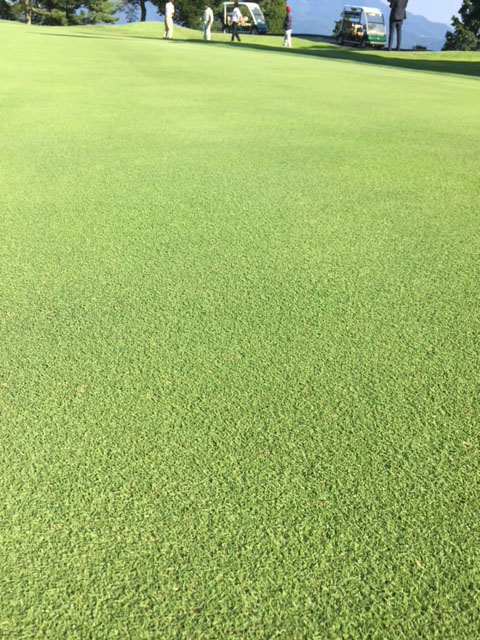 http://www.royalturf.co.jp/topics/IMG_8058.JPG